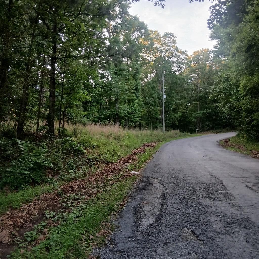 Tr'3 Raven Cliff Road, Talking Rock GA 30175 - Photo