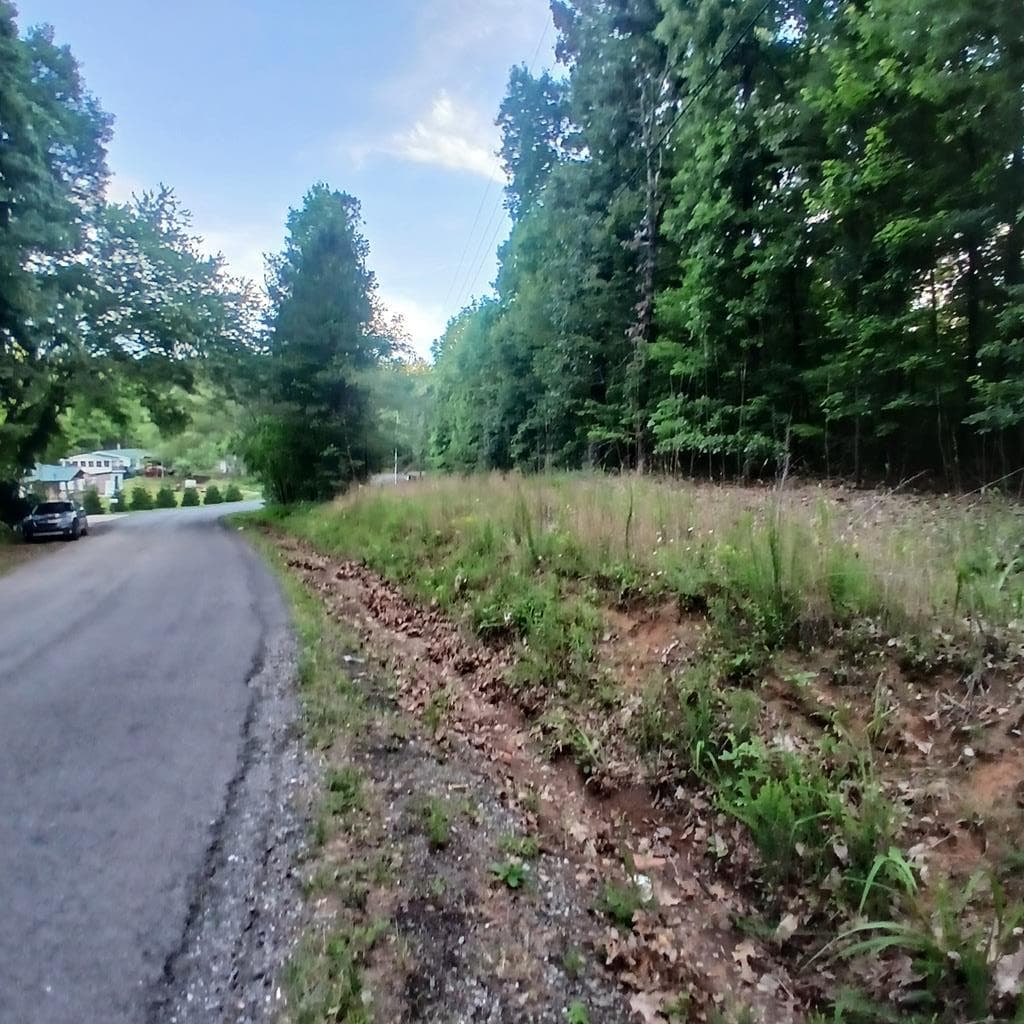 Tr'3 Raven Cliff Road, Talking Rock GA 30175 - Primary photo