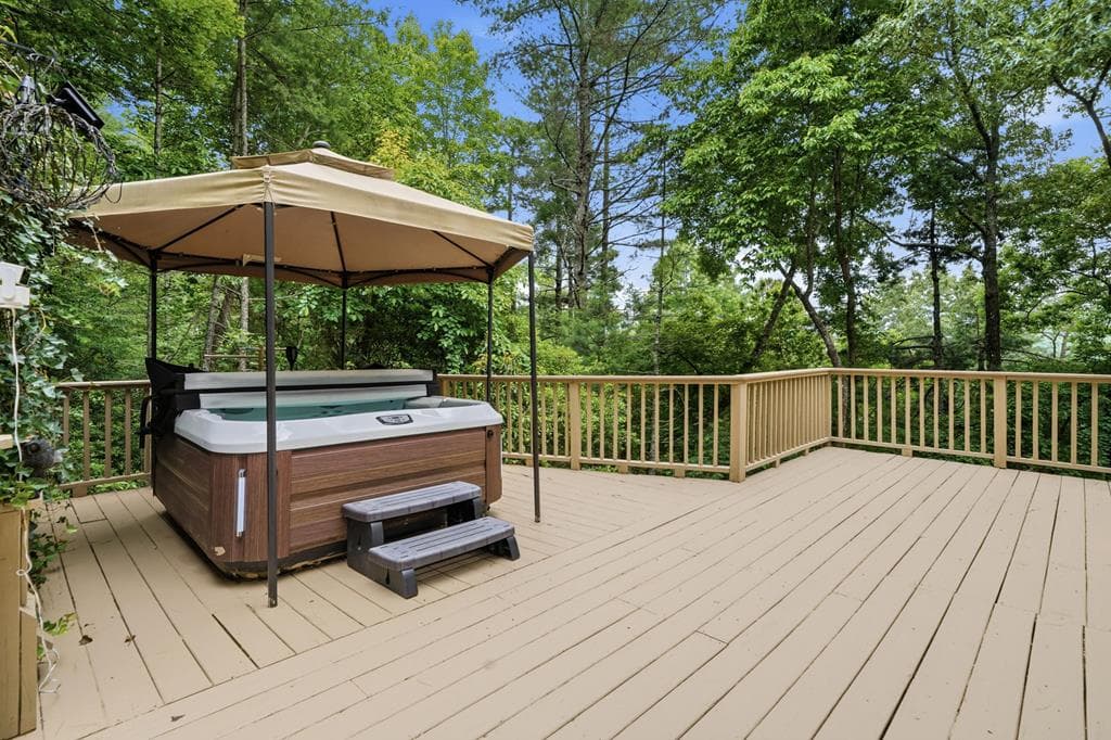 165 Amelia Lane, Blue Ridge GA 30513 - Photo