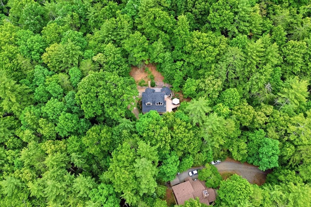 165 Amelia Lane, Blue Ridge GA 30513 - Photo