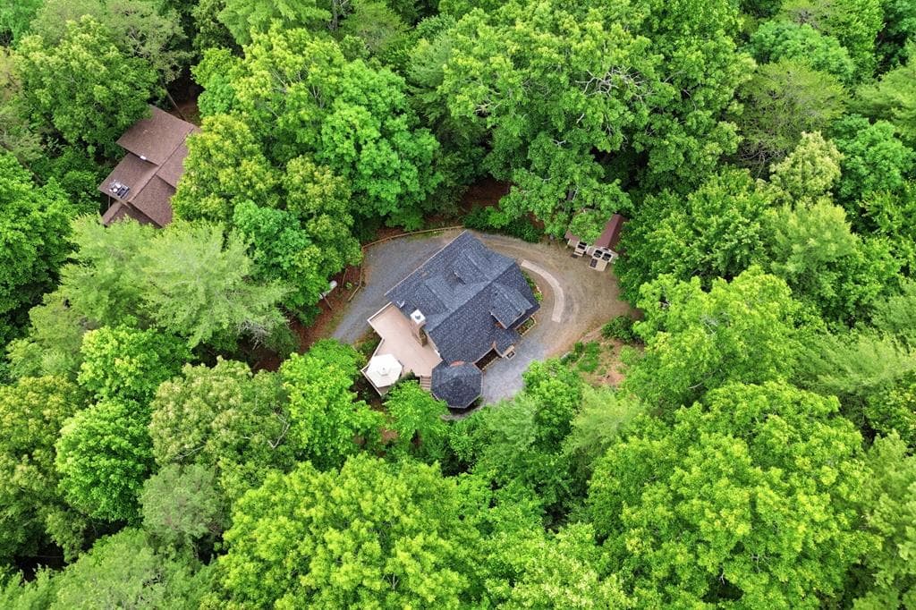165 Amelia Lane, Blue Ridge GA 30513 - Photo