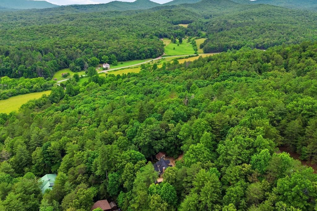 165 Amelia Lane, Blue Ridge GA 30513 - Photo