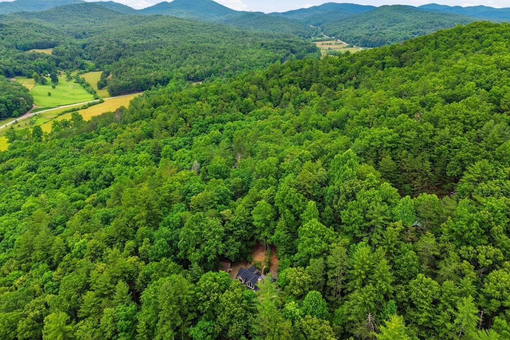 165 Amelia Lane, Blue Ridge GA 30513 - Photo