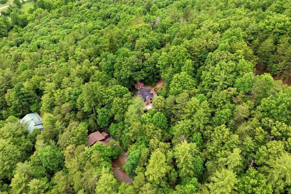 165 Amelia Lane, Blue Ridge GA 30513 - Photo
