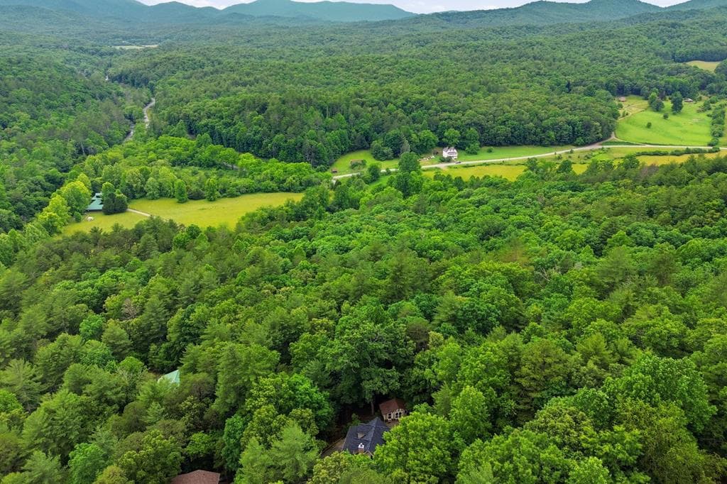 165 Amelia Lane, Blue Ridge GA 30513 - Photo