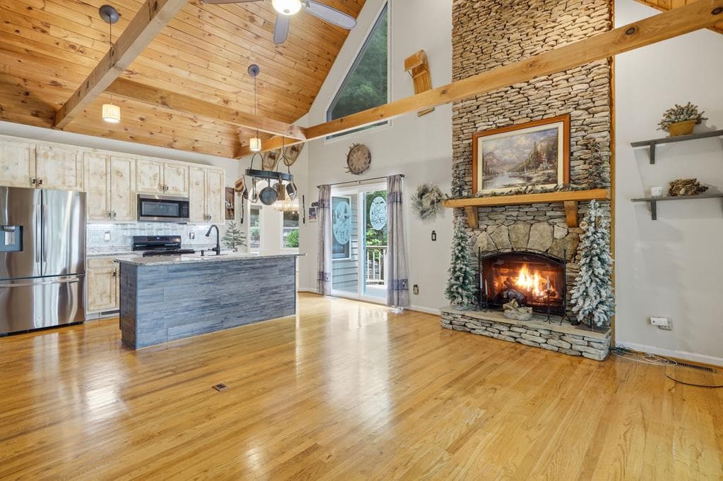165 Amelia Lane, Blue Ridge GA 30513 - Photo