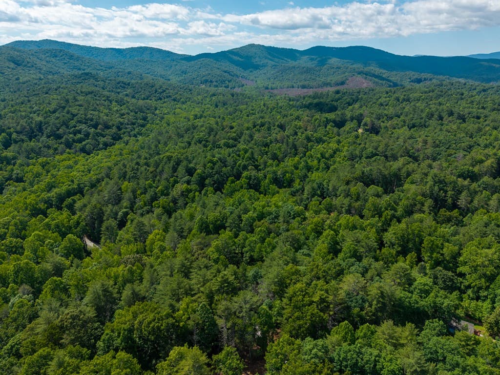 73 Jasmin Court, Ellijay GA 30540 - Photo