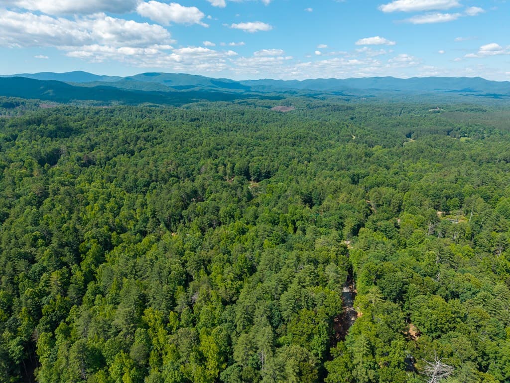 73 Jasmin Court, Ellijay GA 30540 - Photo