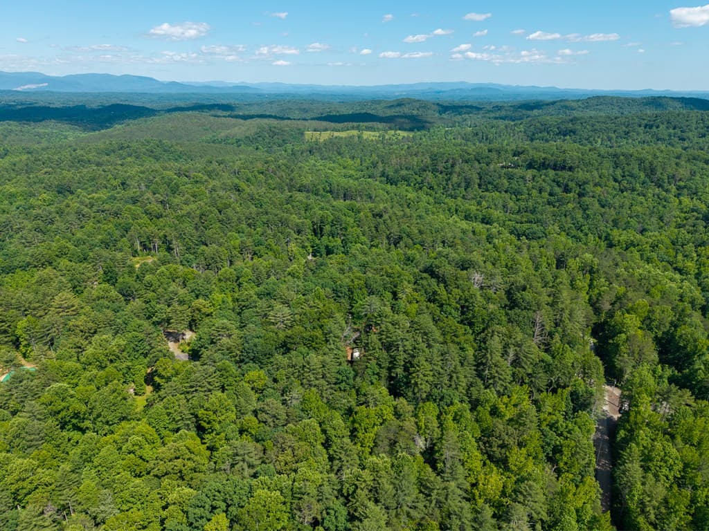 73 Jasmin Court, Ellijay GA 30540 - Photo