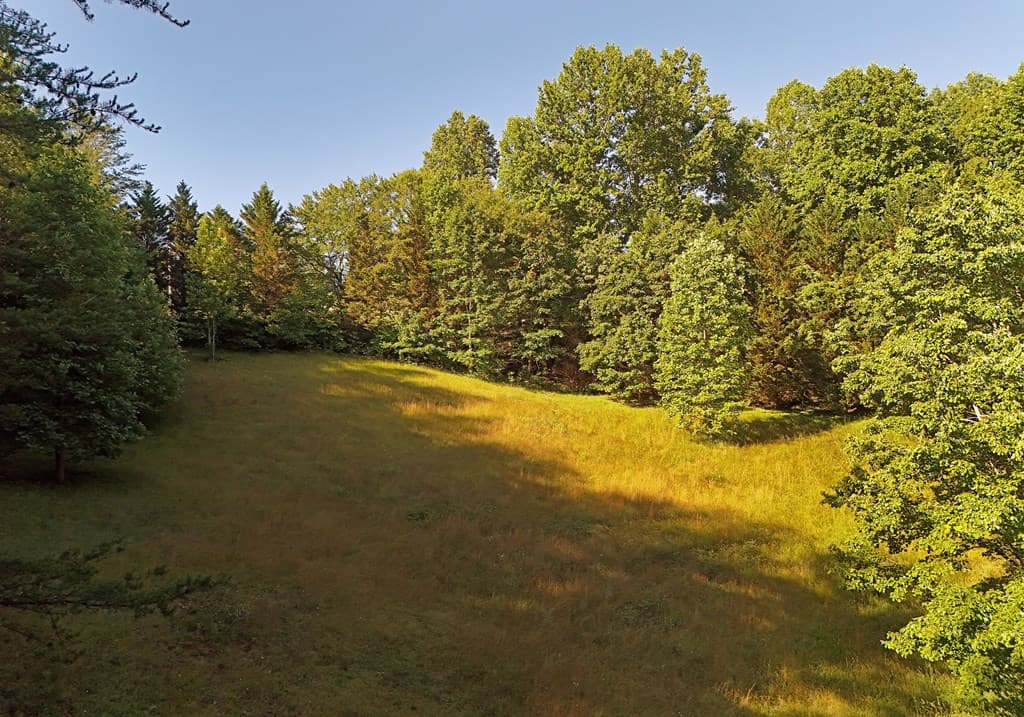 175 Bell Road, Mineral Bluff GA 30559 - Photo