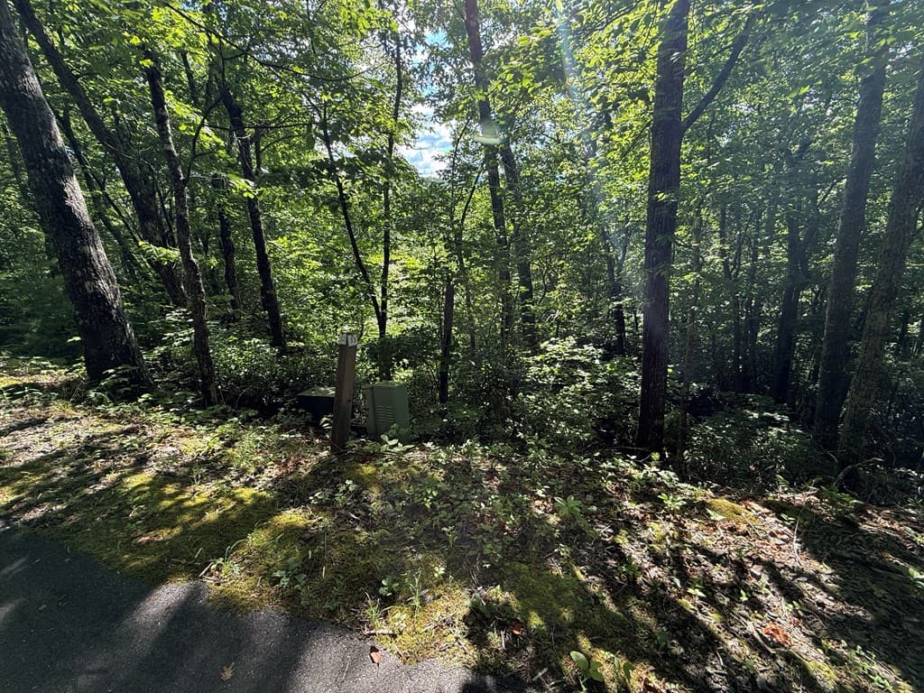 Lot 33 Fodder Creek Mill Drive, Hiawassee GA 30546 - Photo