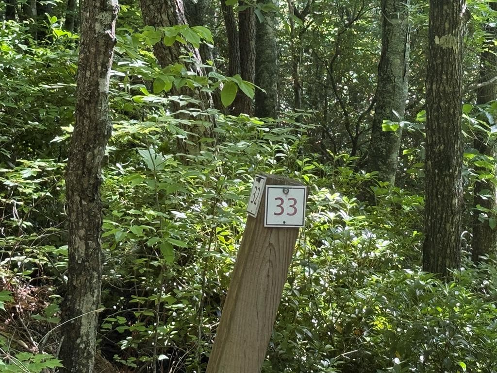 Lot 33 Fodder Creek Mill Drive, Hiawassee GA 30546 - Primary photo