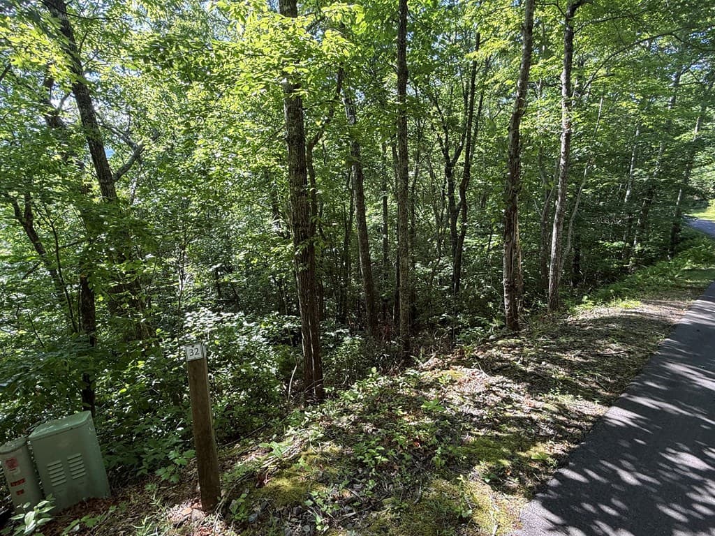 Lot 33 Fodder Creek Mill Drive, Hiawassee GA 30546 - Photo