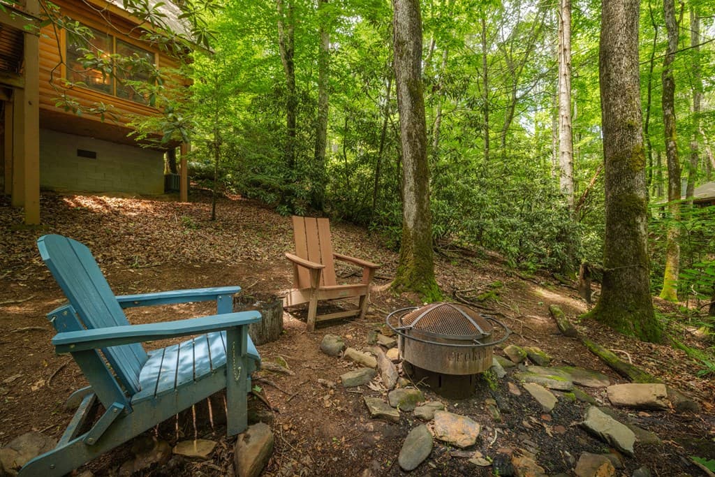 14 Finch Lane, Cherry Log GA 30522 - Photo