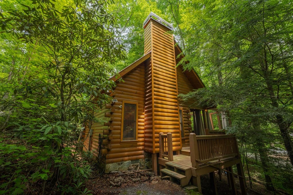 14 Finch Lane, Cherry Log GA 30522 - Photo