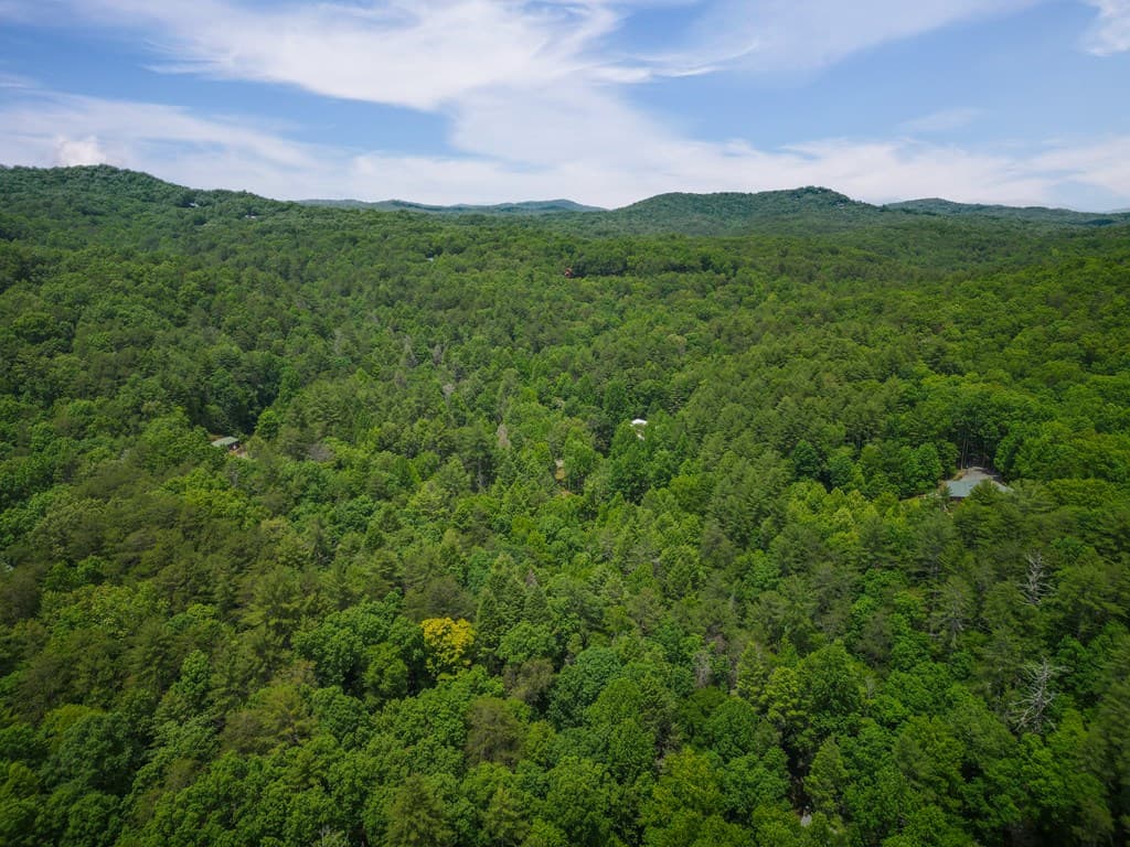 14 Finch Lane, Cherry Log GA 30522 - Photo