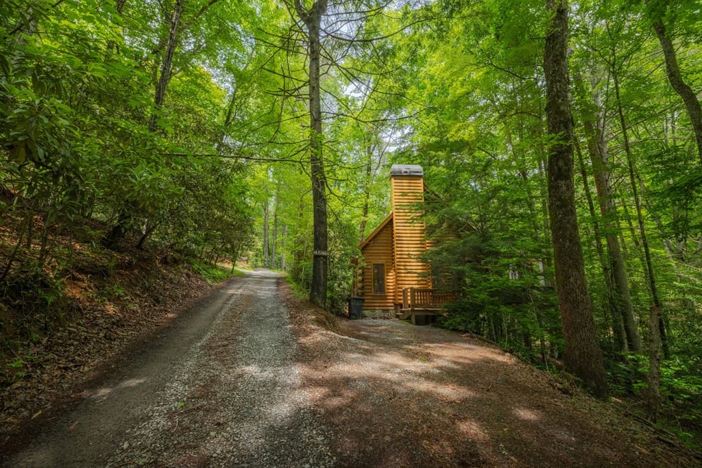14 Finch Lane, Cherry Log GA 30522 - Photo