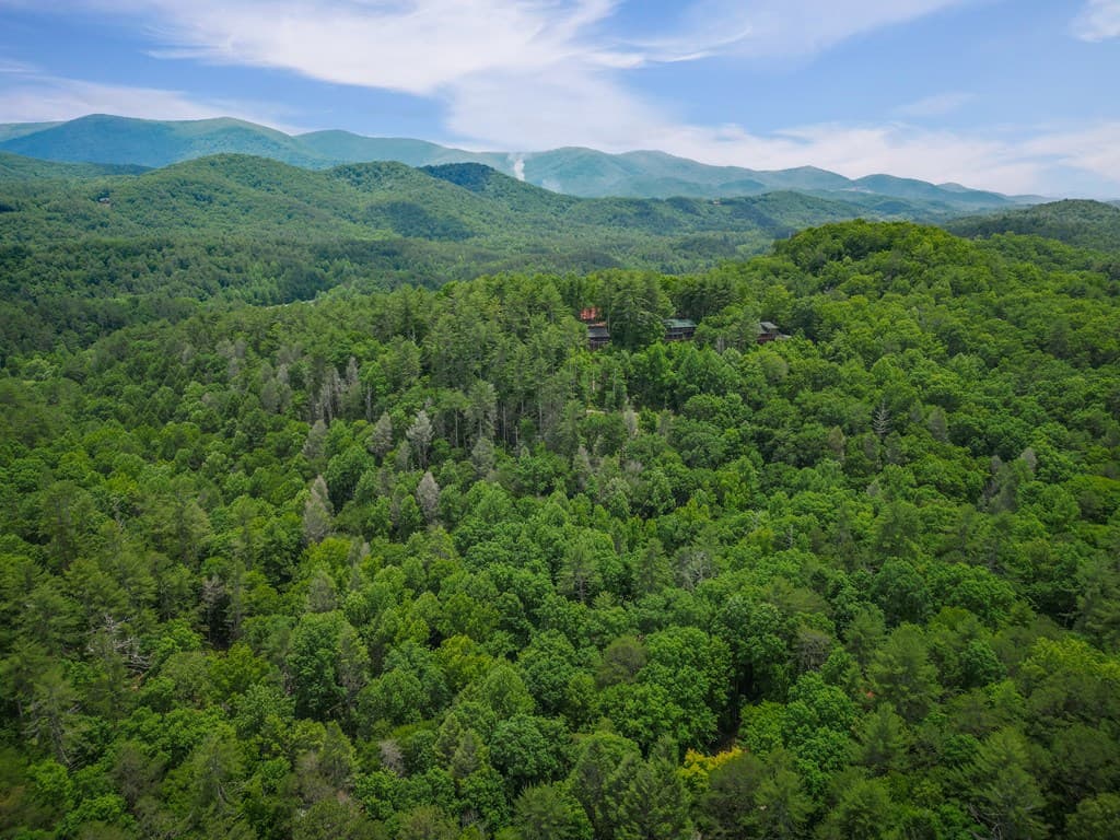 14 Finch Lane, Cherry Log GA 30522 - Photo