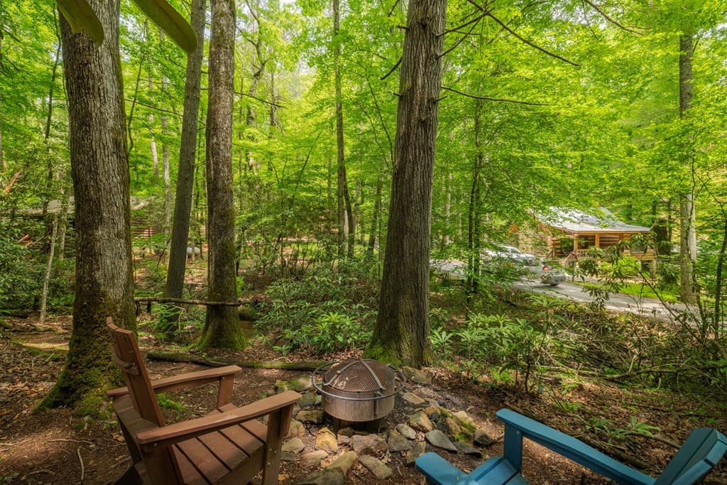 14 Finch Lane, Cherry Log GA 30522 - Photo