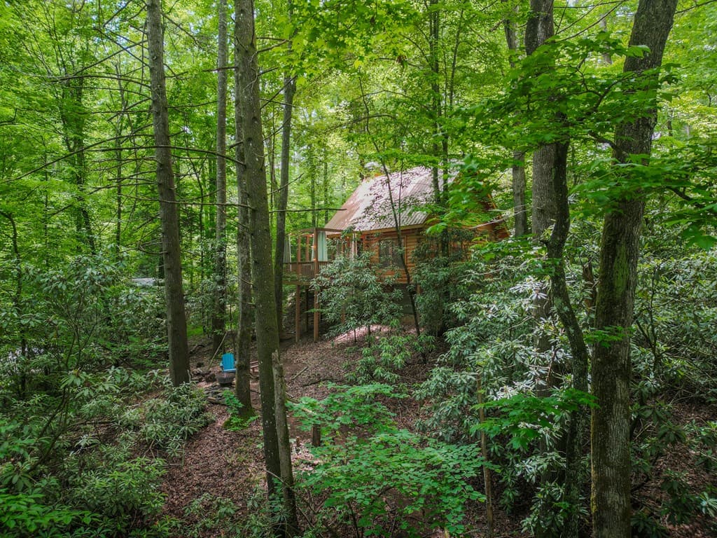 14 Finch Lane, Cherry Log GA 30522 - Photo