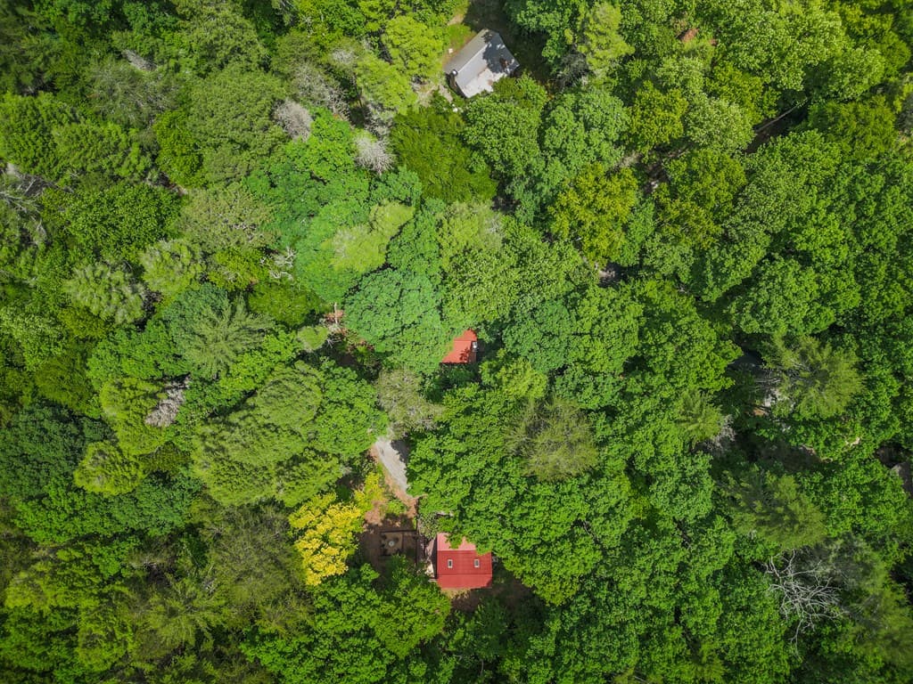 14 Finch Lane, Cherry Log GA 30522 - Photo