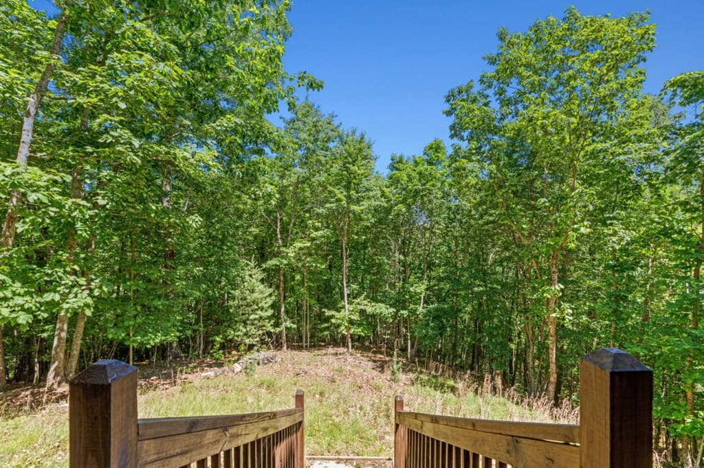 801 Davenport Mountain Road, Blue Ridge GA 30513 - Photo