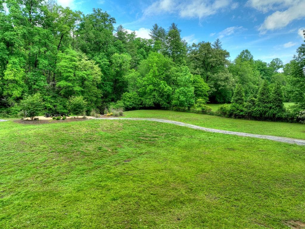 186 Dogwood Drive, Epworth GA 30541 - Photo