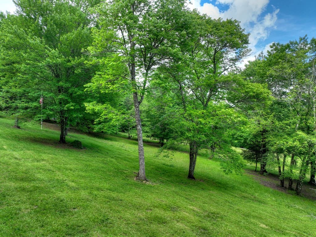 94 Old Place Drive, Blue Ridge GA 30513 - Photo