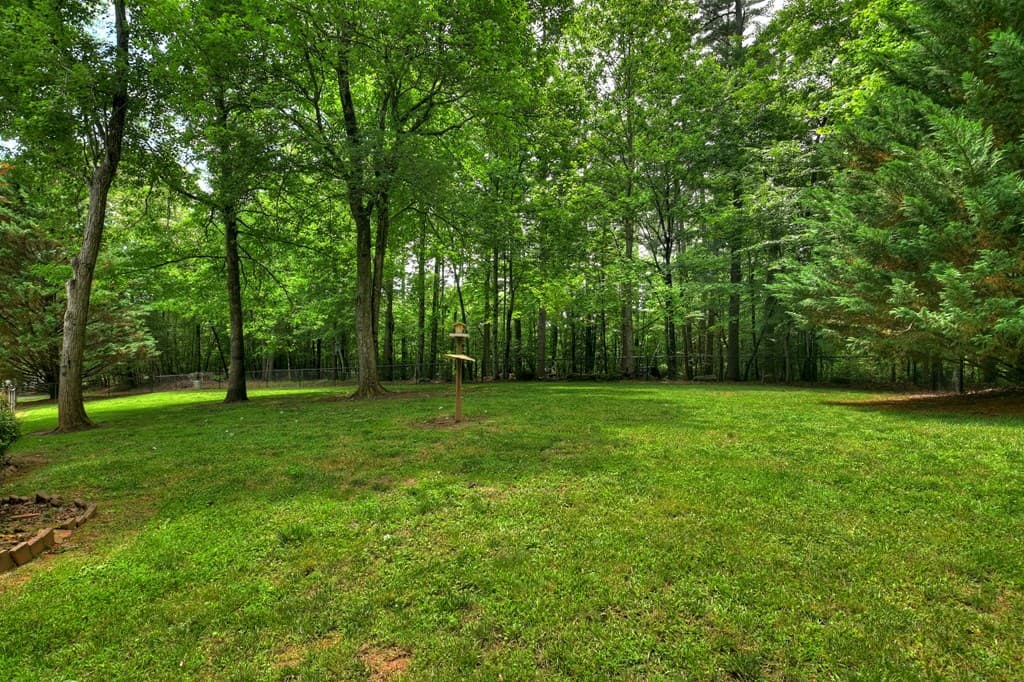 94 Old Place Drive, Blue Ridge GA 30513 - Photo