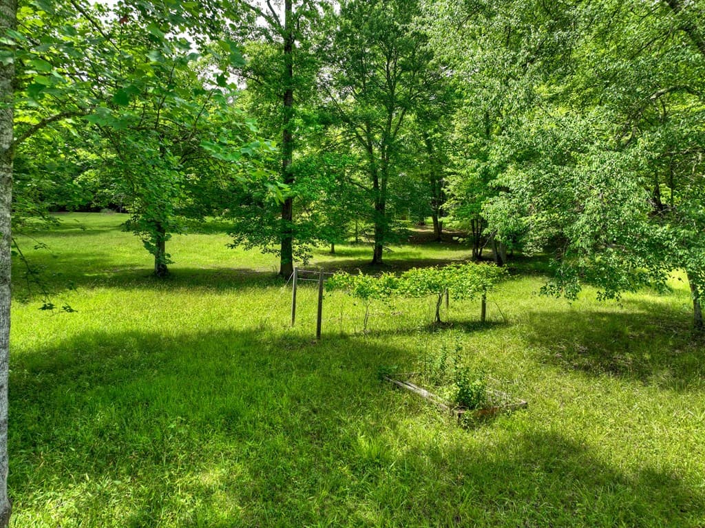 94 Old Place Drive, Blue Ridge GA 30513 - Photo