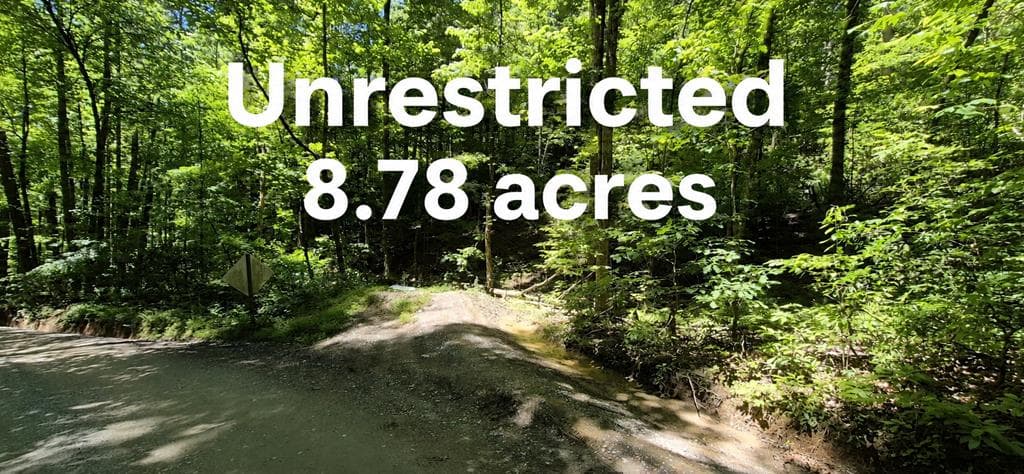 Lot 28 Laurel Ridge, Ellijay GA 30522 - Primary photo