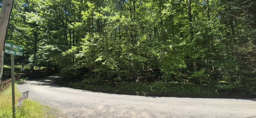 Lot 28 Laurel Ridge, Ellijay GA 30522 - Photo