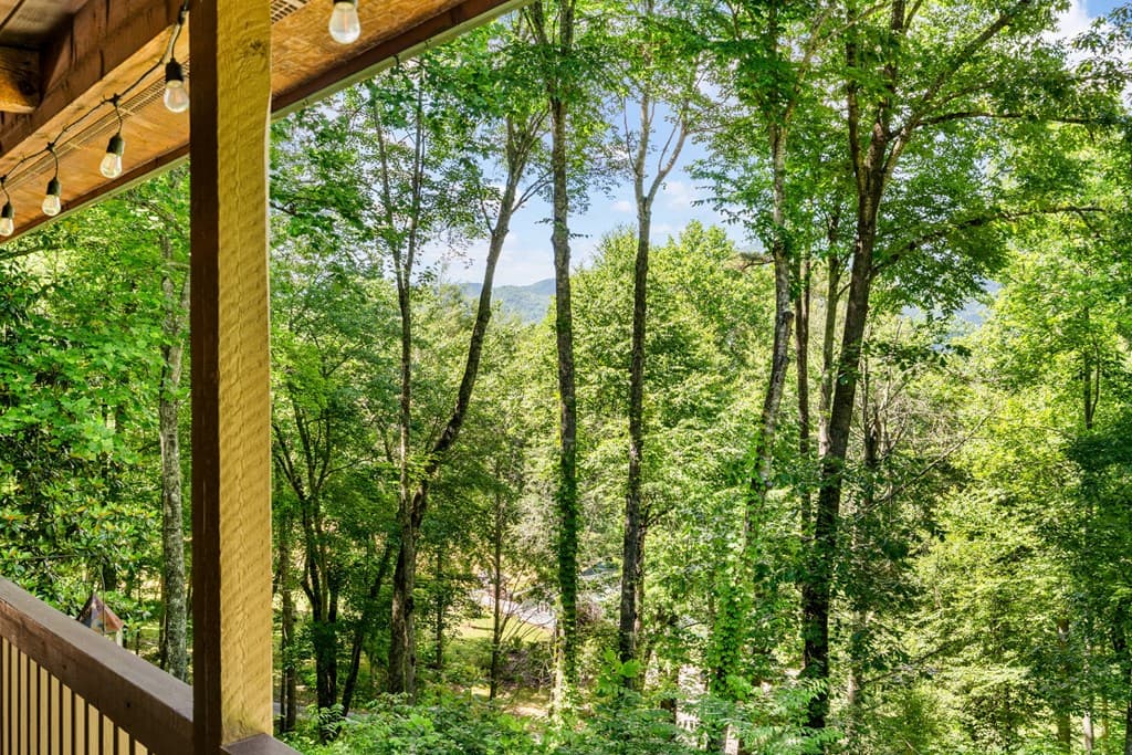 163 Winchester Cove Lane, Hayesville NC 28904 - Photo