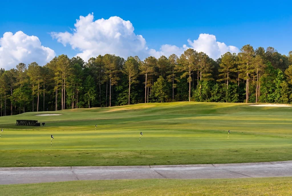 101 Attwater Circle, Dawsonville GA 30534 - Photo