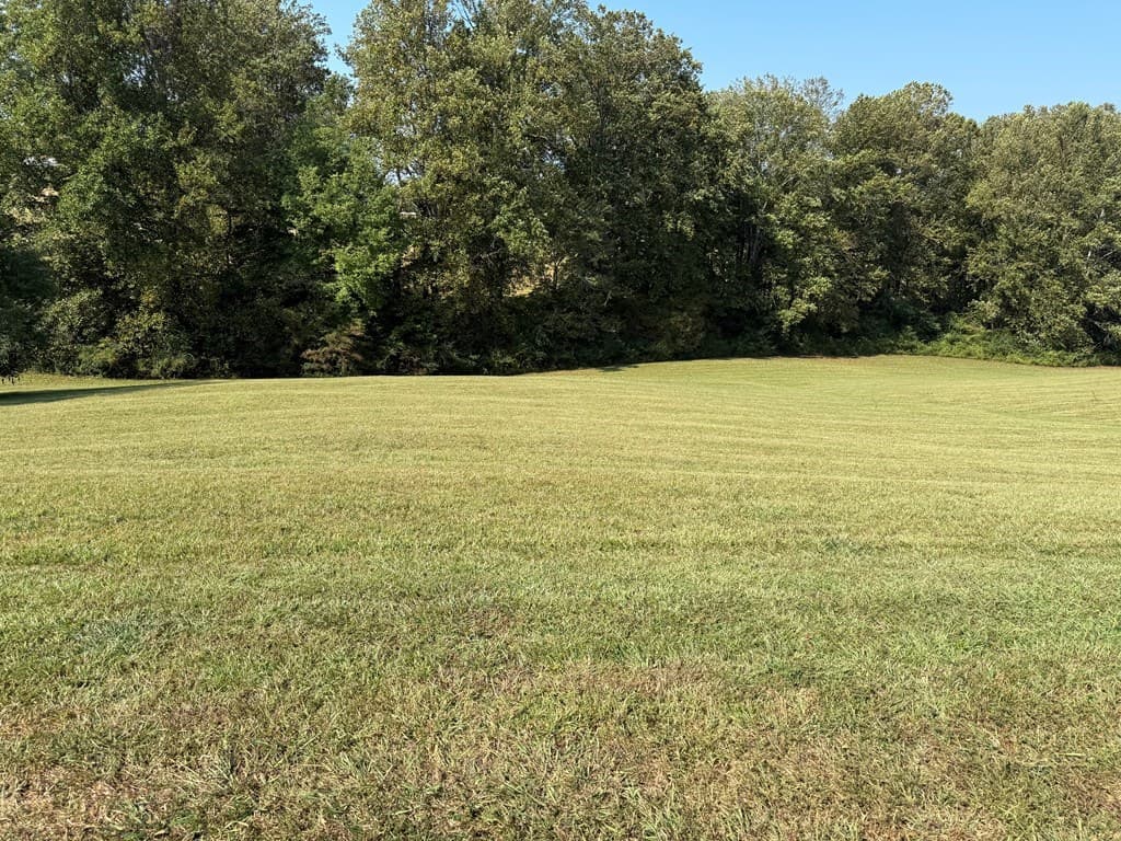 113 Owen Glen Drive, Blairsville GA 30512 - Photo
