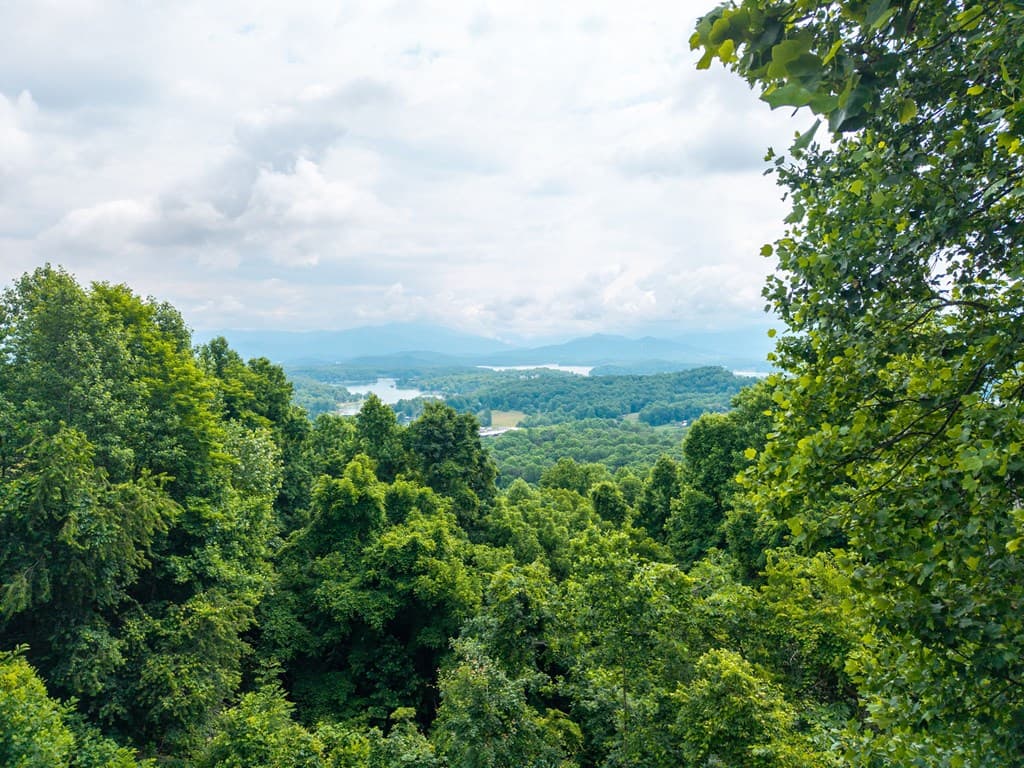 1748 Harris Ridge Road, Young Harris GA 30582 - Photo
