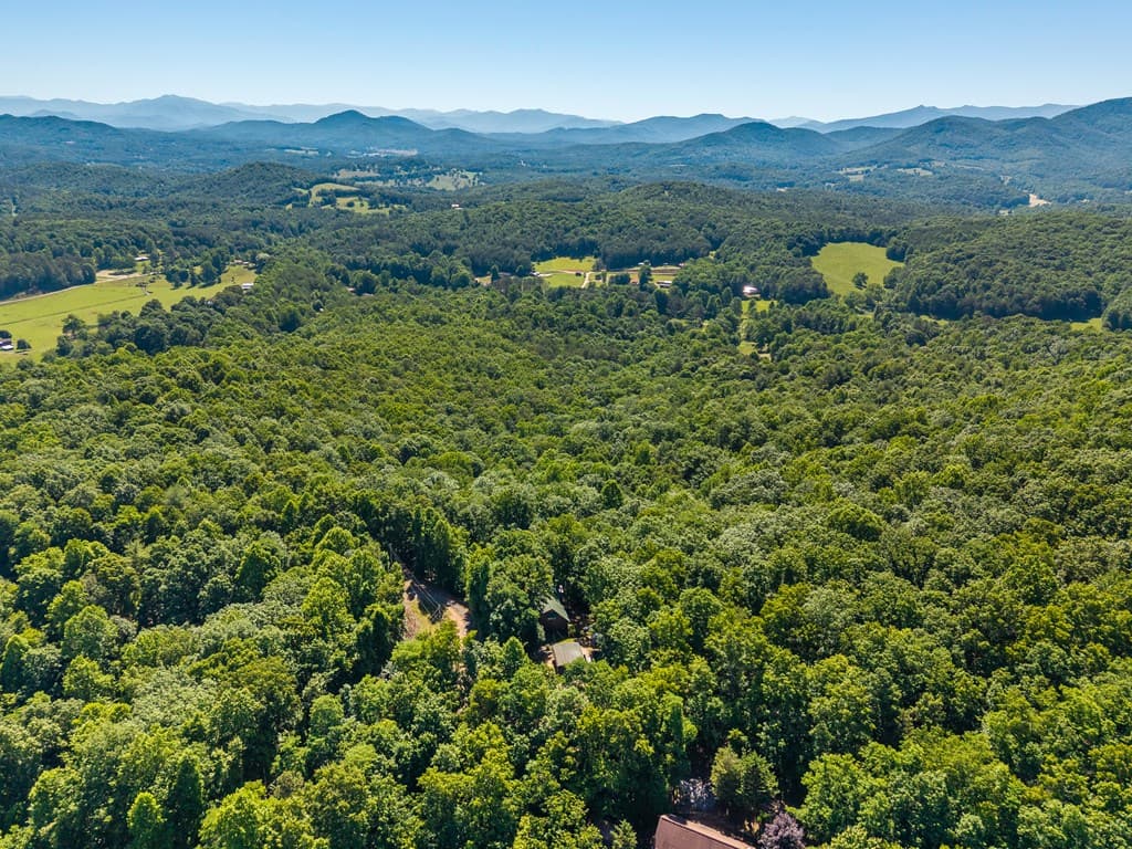 913 Royal Oaks Trail, Brasstown NC 28902 - Photo