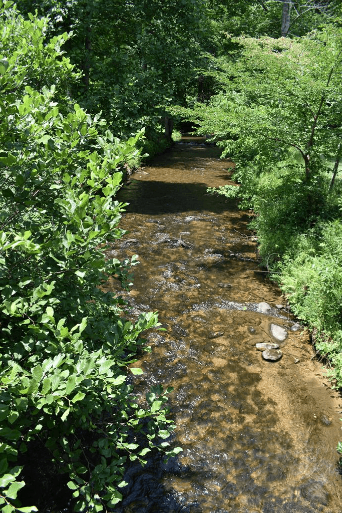 2632 Big Creek, Cherry Log GA 30522 - Photo