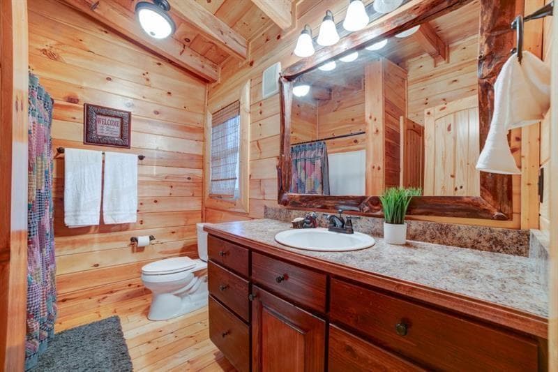 138 Lucius Lane, Cherry Log GA 30522 - Photo