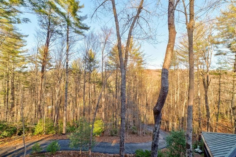 138 Lucius Lane, Cherry Log GA 30522 - Photo