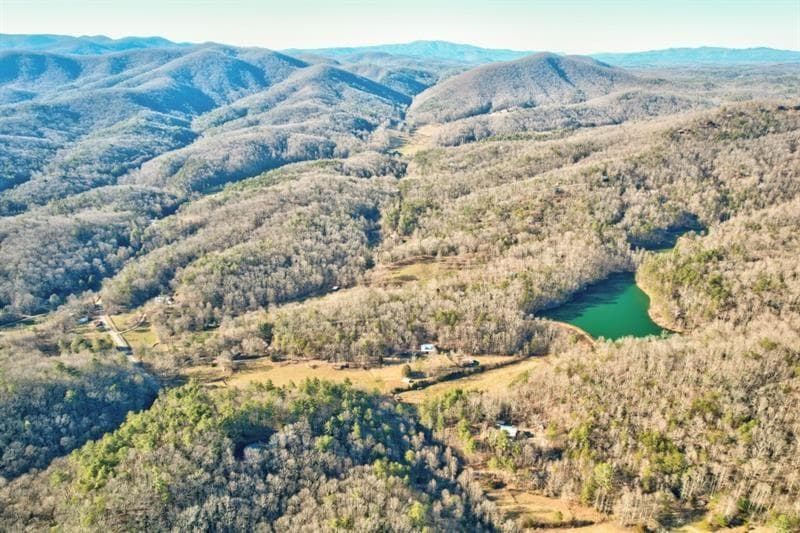 138 Lucius Lane, Cherry Log GA 30522 - Photo