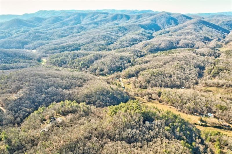 138 Lucius Lane, Cherry Log GA 30522 - Photo
