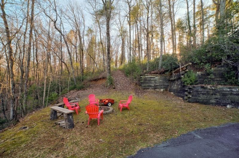 138 Lucius Lane, Cherry Log GA 30522 - Photo