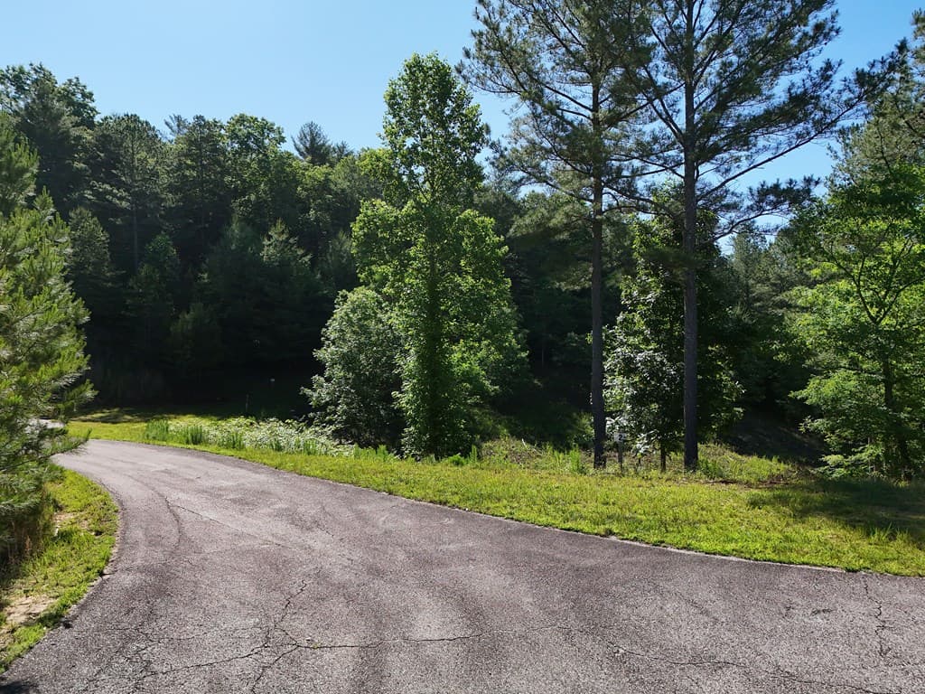 Lot 2 Big Knoll Drive, Blairsville GA 30512 - Photo