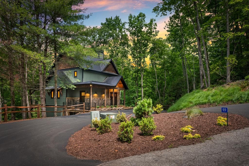 919 Price Road, Blue Ridge GA 30513 - Photo