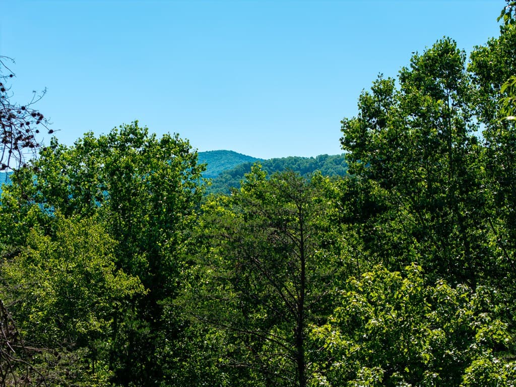 775 Mountain Oak Road, Ellijay GA 30540 - Photo