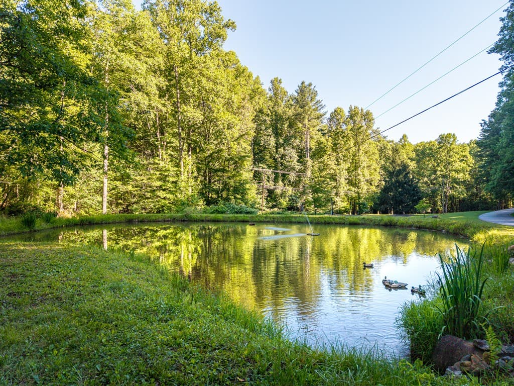 775 Mountain Oak Road, Ellijay GA 30540 - Photo