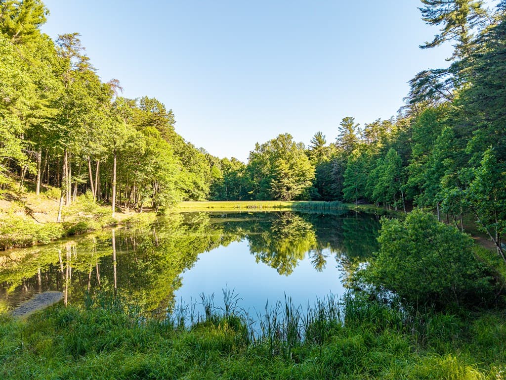 775 Mountain Oak Road, Ellijay GA 30540 - Photo