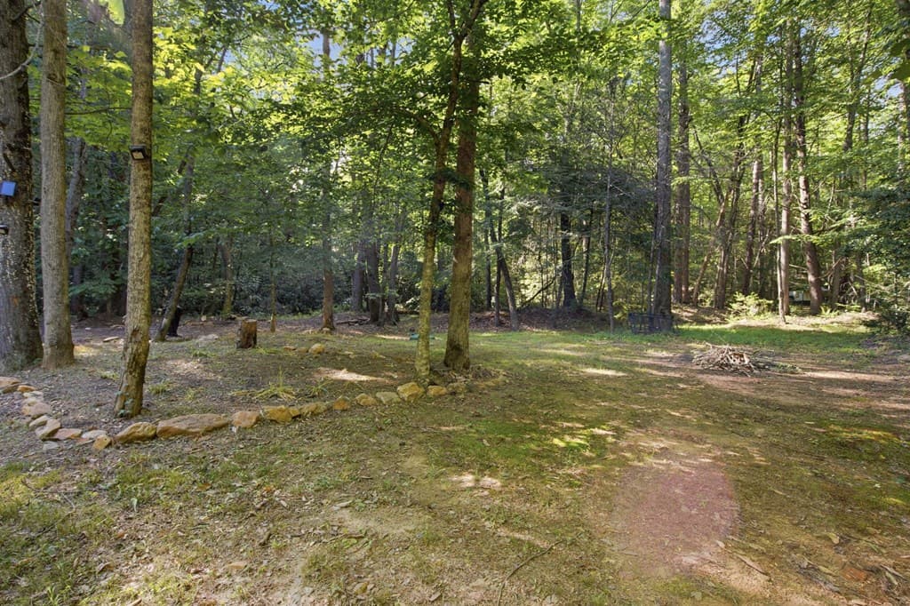 491 Old Parker Terrace, Ellijay GA 30536 - Photo