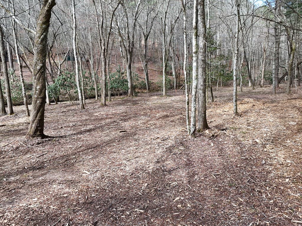 LT 45A Synacia Drive, Mineral Bluff GA 30559 - Photo